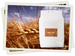 Integralno pšenično brašno