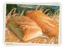 Integralno pšenično brašno